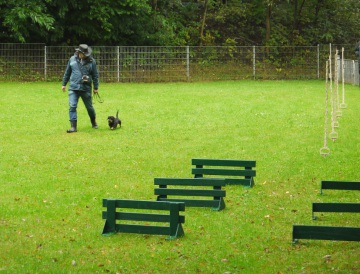 DTK Gruppe Kurpfalz, Ihr Club für alle Dackel in Kaiserslautern und der Vorderpfalz