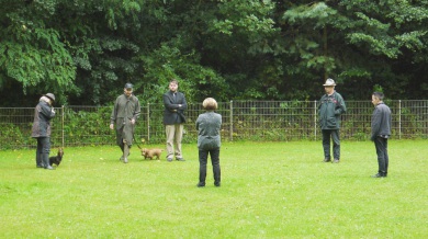 DTK Gruppe Kurpfalz, Ihr Club für alle Dackel in Kaiserslautern und der Vorderpfalz