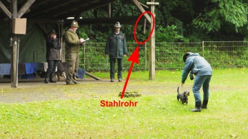 DTK Gruppe Kurpfalz, Ihr Club für alle Dackel in Kaiserslautern und der Vorderpfalz