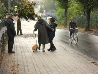 DTK Gruppe Kurpfalz, Ihr Club für alle Dackel in Kaiserslautern und der Vorderpfalz