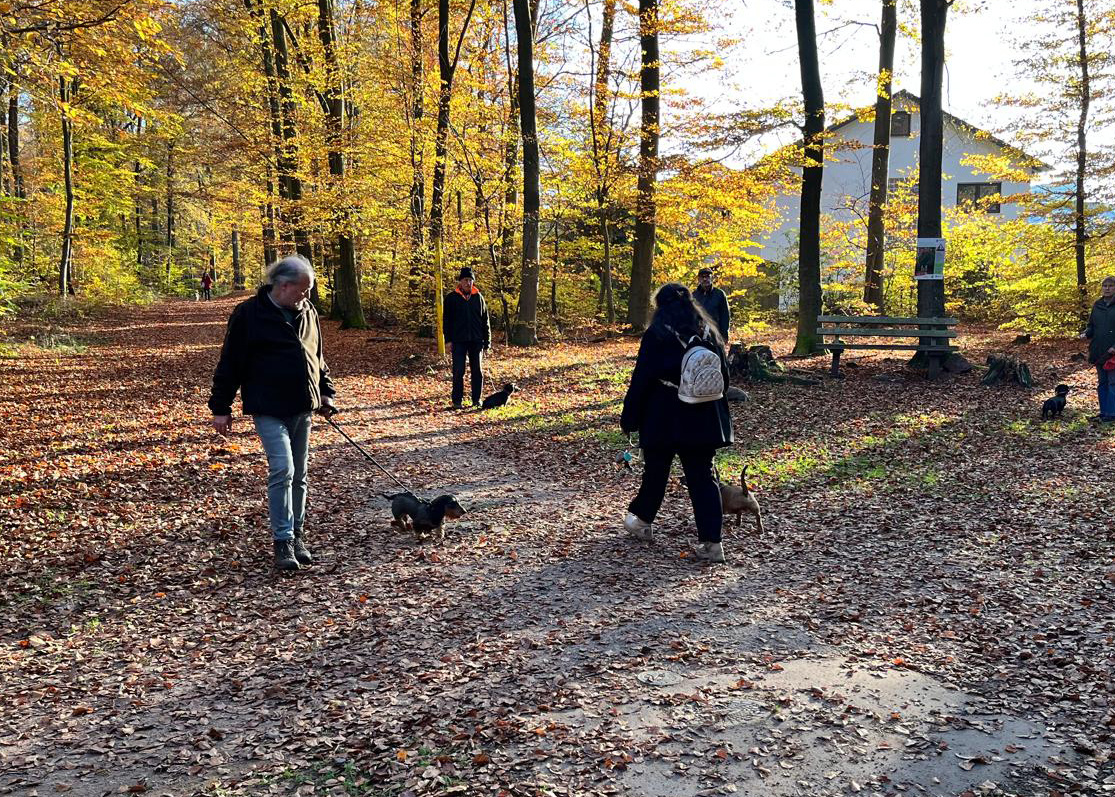 dtk-gruppe-kaiserslautern-mitglied-1 DTK Gruppe Kurpfalz, Ihr Club für alle Dackel in Kaiserslautern und der Vorderpfalz