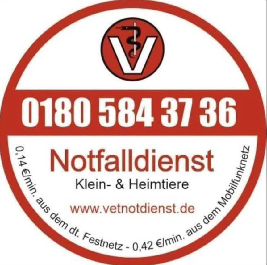 notfall DTK Gruppe Kurpfalz, Ihr Club für alle Dackel in Kaiserslautern und der Vorderpfalz