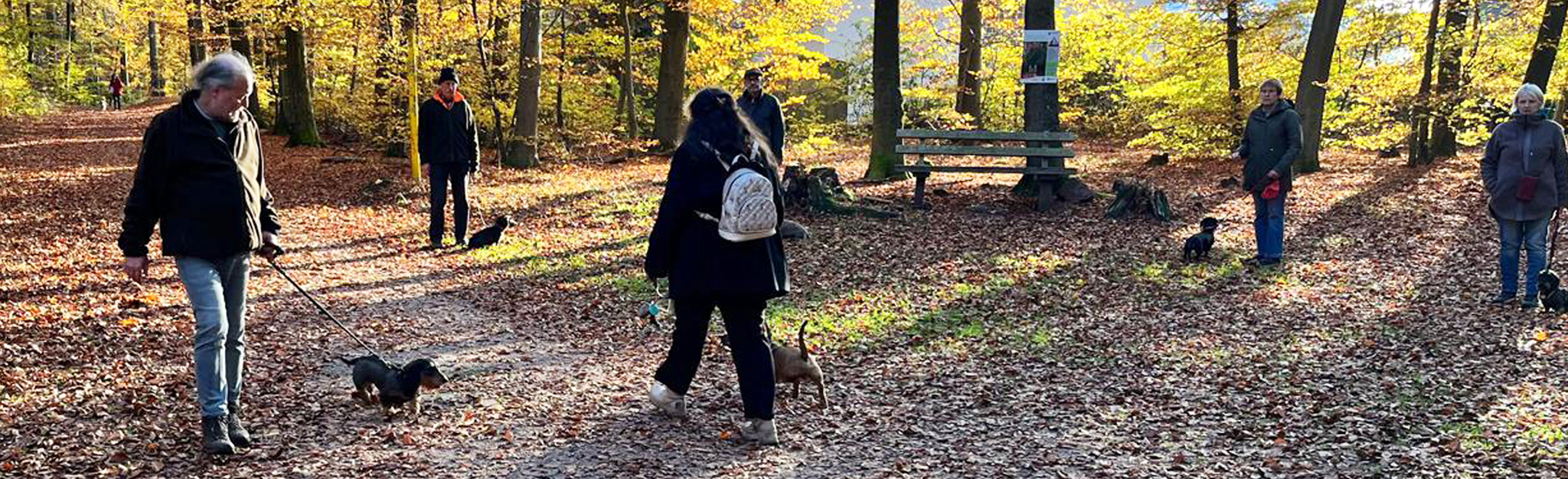 DTK Gruppe Kurpfalz, Ihr Club für alle Dackel in Kaiserslautern und der Vorderpfalz