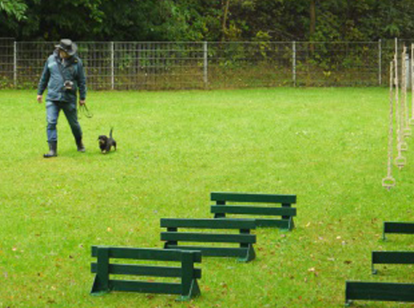 dtk-gruppe-kaiserslautern-offene-gruppe-1 DTK Gruppe Kurpfalz, Ihr Club für alle Dackel in Kaiserslautern und der Vorderpfalz